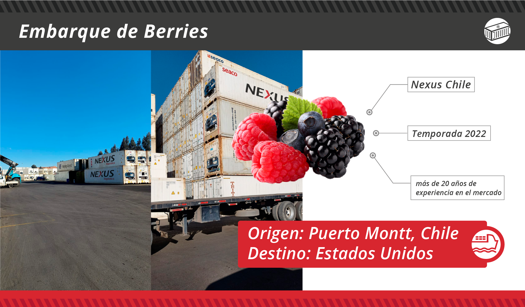 Fichas embarques Reefer-1-04